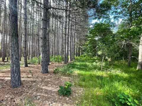 tbd Trefoil Dr, Pine River Twp, MN 56435