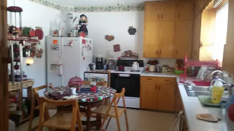 47 E Schlieman Ave, Appleton, MN 56208 photo 4