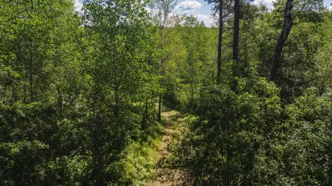 tbd Gladiola Dr, Park Rapids, MN 56470 photo 14