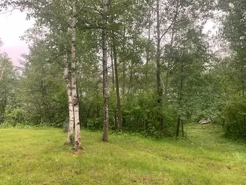 tbd Gladiola Dr, Park Rapids, MN 56470 photo 10