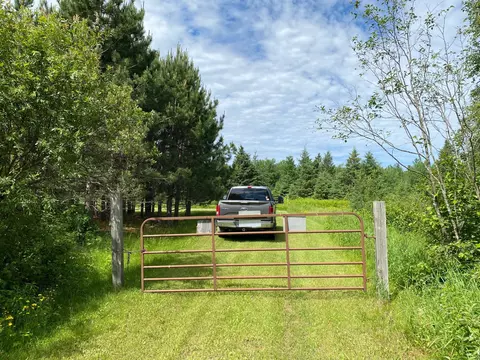 9272 Range Line Rd, Cook, MN 55723 photo 9
