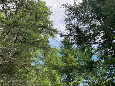 9272 Range Line Rd, Cook, MN 55723 photo 22
