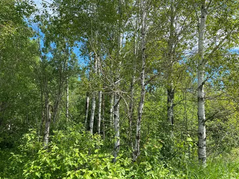 9272 Range Line Rd, Cook, MN 55723 photo 8
