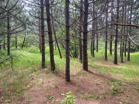 9272 Range Line Rd, Cook, MN 55723 photo 26
