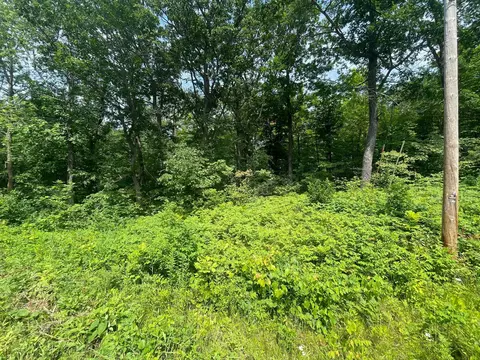 tbd Captive Lake Rd, Kathio Twp, MN 56450 photo 6