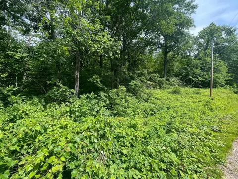 tbd Captive Lake Rd, Kathio Twp, MN 56450 photo 9