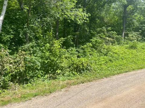 tbd Captive Lake Rd, Kathio Twp, MN 56450 photo 13