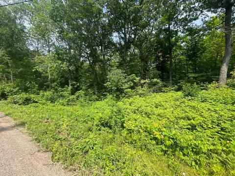 tbd Captive Lake Rd, Kathio Twp, MN 56450 photo 7