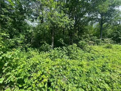 tbd Captive Lake Rd, Kathio Twp, MN 56450 photo 5