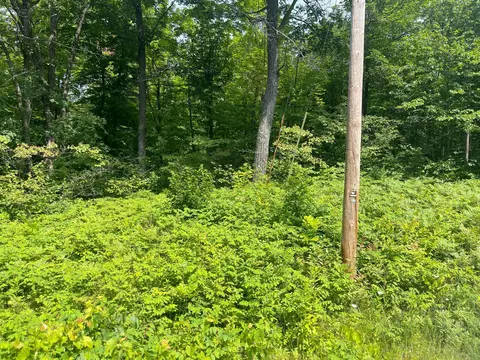 tbd Captive Lake Rd, Kathio Twp, MN 56450