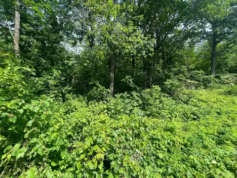 tbd Captive Lake Rd, Kathio Twp, MN 56450 photo 11