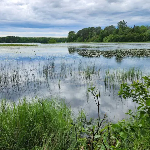 tbd Peaceful Point Rd, Bovey, MN 55709