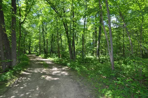 2135 Nighthawk Ln NW, Hackensack, MN 56452 photo 35