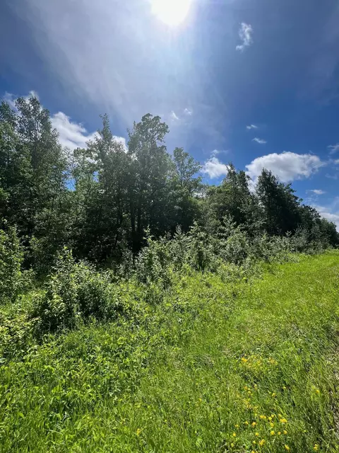 tbd Adelia Dr SE, Bemidji, MN 56601