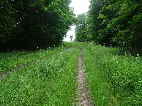 Nnn 260th Avenue, Luck, WI 54853