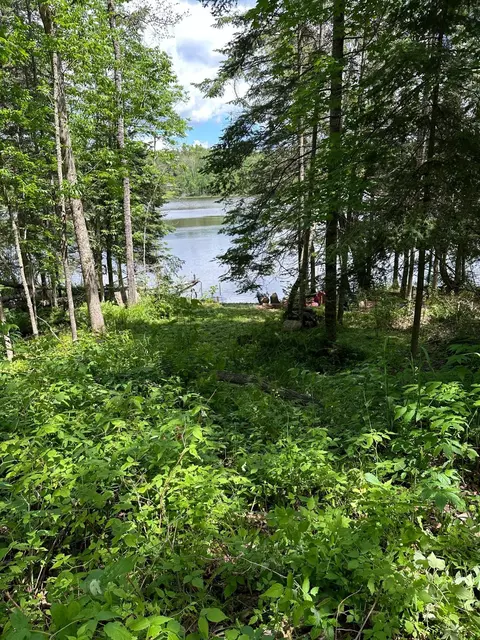 tbd County Road 58, Nashwauk, MN 55769