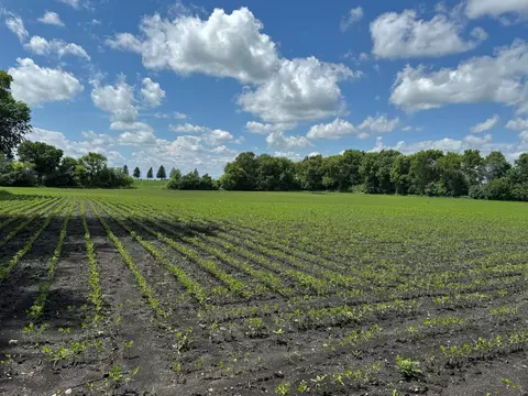 4 Th St, Echo, MN 56237