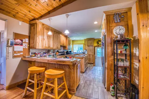 1101 E Ottum Ave, Bigfork, MN 56628 photo 51