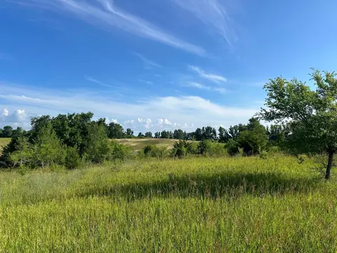 273 273, Dassel Twp, MN 55325