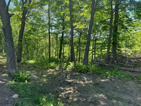 lot7 8 Baffie Bnd, Onamia, MN 56450