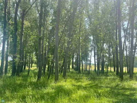 15353 100th Ave S, Barnesville, MN 56514