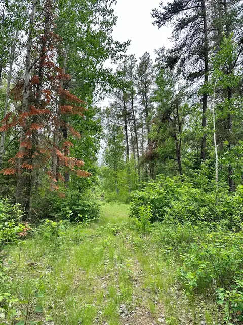 tbd 1st St NW, Menahga, MN 56464