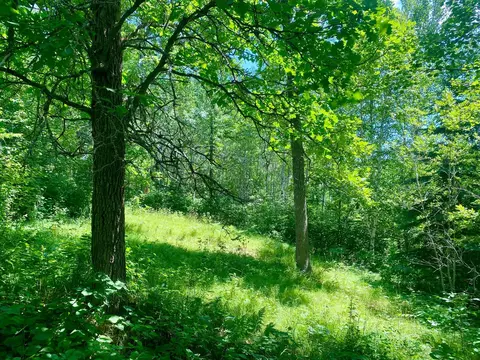 57556 County Rd 4, Max, MN 56659 photo 37