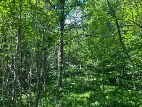 57556 County Rd 4, Max, MN 56659 photo 47
