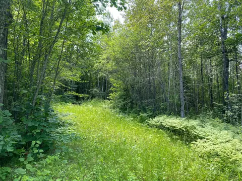 57556 County Rd 4, Max, MN 56659 photo 15