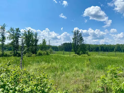 57556 County Rd 4, Max, MN 56659 photo 32