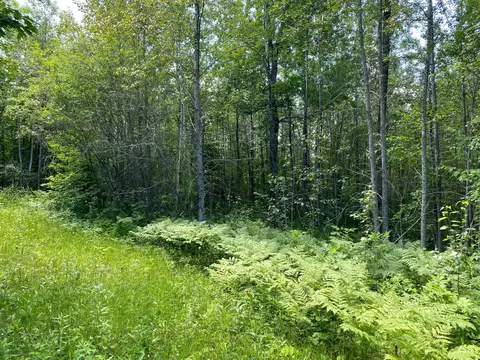 57556 County Rd 4, Max, MN 56659 photo 14