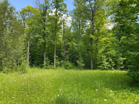 57556 County Rd 4, Max, MN 56659 photo 13