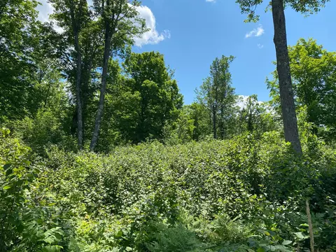 57556 County Rd 4, Max, MN 56659 photo 27