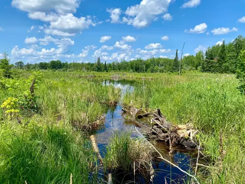 57556 County Rd 4, Max, MN 56659 photo 25