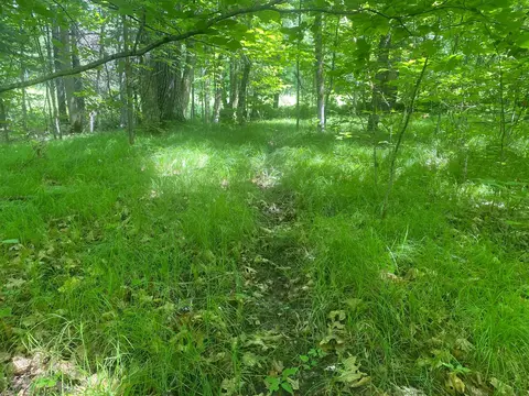 57556 County Rd 4, Max, MN 56659 photo 56