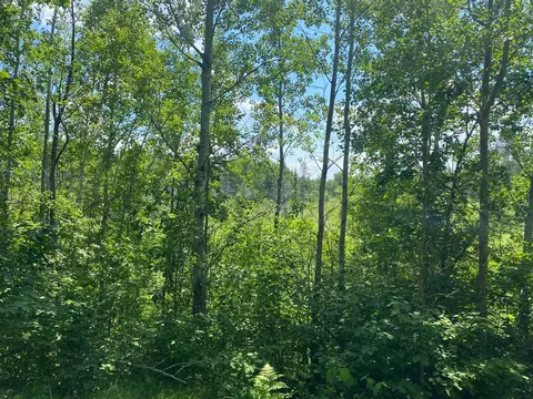 57556 County Rd 4, Max, MN 56659 photo 41