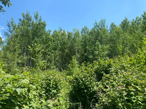 57556 County Rd 4, Max, MN 56659 photo 33