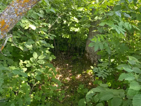 57556 County Rd 4, Max, MN 56659 photo 30