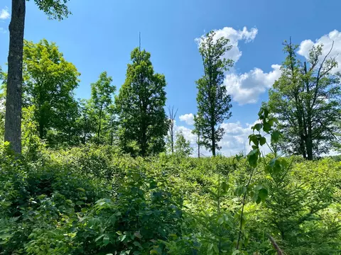 57556 County Rd 4, Max, MN 56659 photo 26