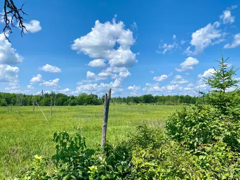 57556 County Rd 4, Max, MN 56659 photo 28