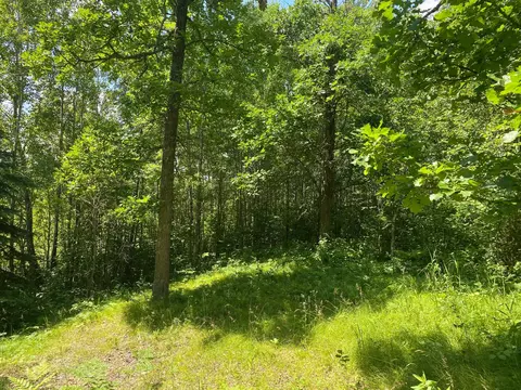 57556 County Rd 4, Max, MN 56659 photo 39