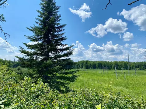 57556 County Rd 4, Max, MN 56659 photo 29