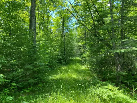 57556 County Rd 4, Max, MN 56659 photo 11