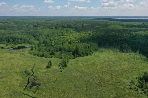 57556 County Rd 4, Max, MN 56659 photo 3