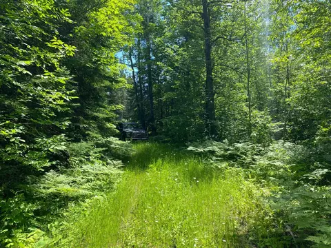 57556 County Rd 4, Max, MN 56659 photo 8