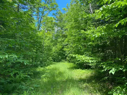 57556 County Rd 4, Max, MN 56659 photo 9