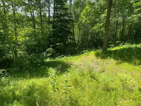 57556 County Rd 4, Max, MN 56659 photo 40