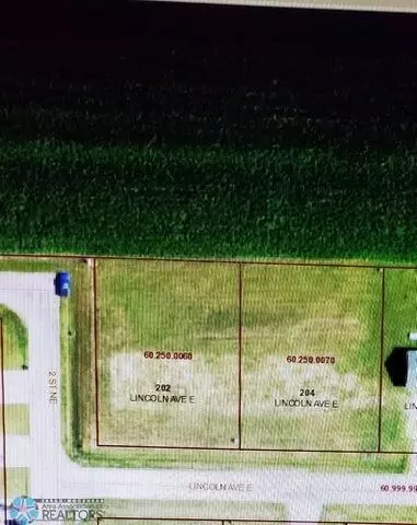 202 Lincoln Ave E, Ulen, MN 56585