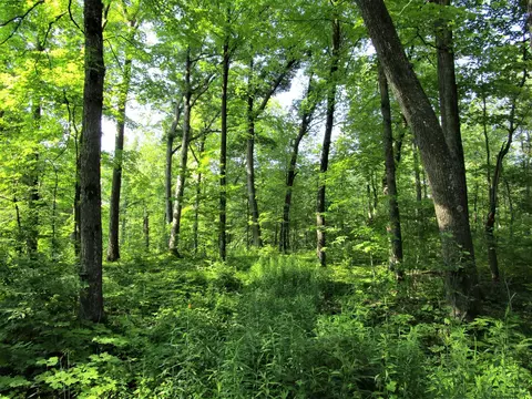 Nn 220th Avenue, Milltown, WI 54858