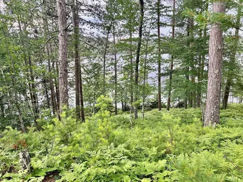 tbd Raps Rd, Cook, MN 55723